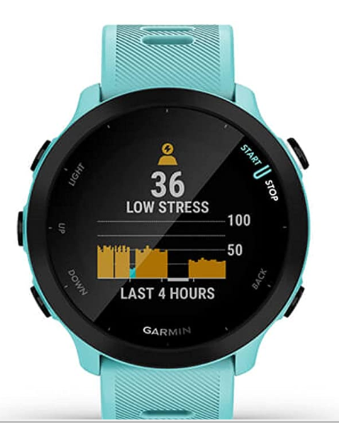 Garmin Forerunner 55 review